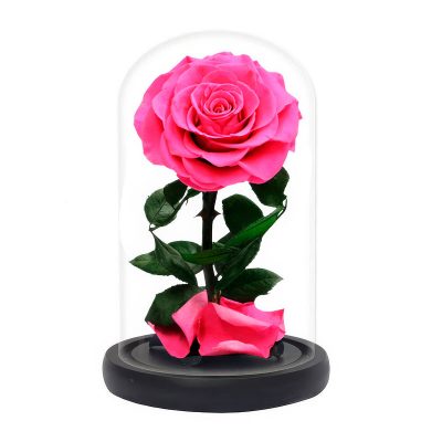 Роза в колбе розовая